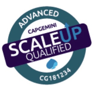 Capgemini ScaleUp Qualification